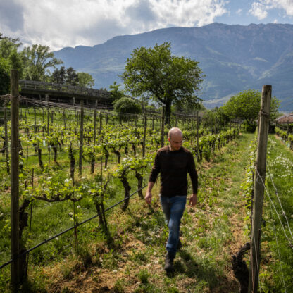 A new approach to winemaking