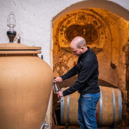 Red wine vinification